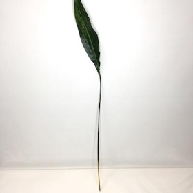 Aspidistra Leaf 100cm