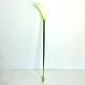 Ivory Calla Lily 66cm