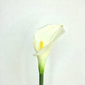 Ivory Calla Lily 66cm