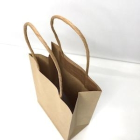 Small Kraft Paper Bag x 10