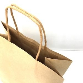 Medium Kraft Paper Bag x 10