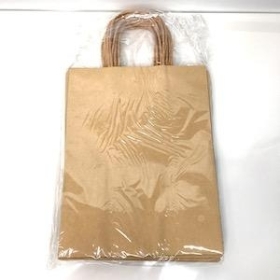 Medium Kraft Paper Bag x 10