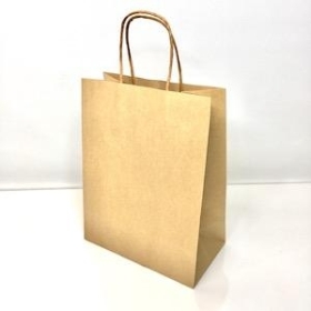 Medium Kraft Paper Bag x 10