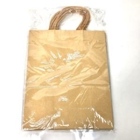 Large Kraft Paper Bag x 10