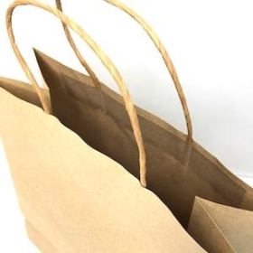 Large Kraft Paper Bag x 10