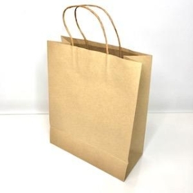 Large Kraft Paper Bag x 10