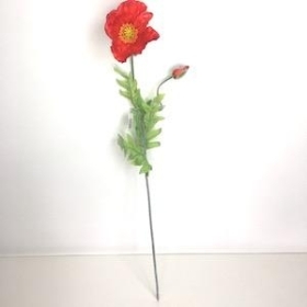 Red Poppy 70cm