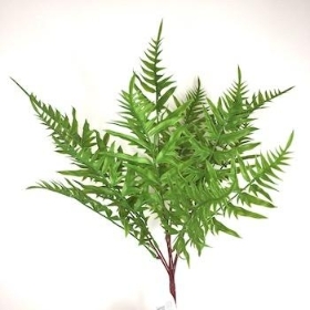 Green Fern Bush 45cm