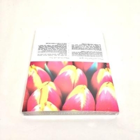 Red Yellow Tulips Folding Card x 25