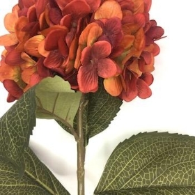 Burnt Orange Hydrangea 81cm