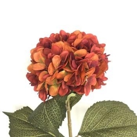 Burnt Orange Hydrangea 81cm