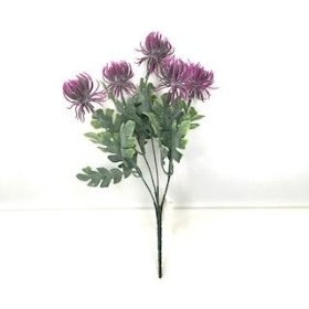 Plum Thistle Bush 31cm