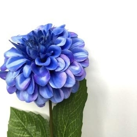 Blue Zinnia 44cm