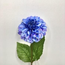 Blue Zinnia 44cm