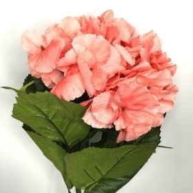 Coral Hydrangea 63cm