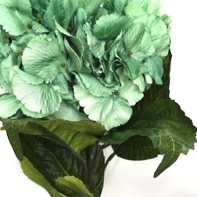 Green Hydrangea 63cm