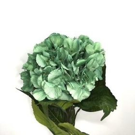 Green Hydrangea 63cm