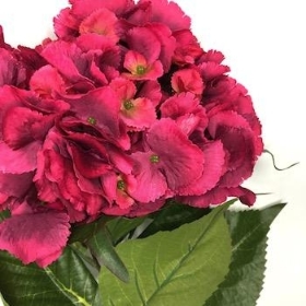 Deep Cerise Hydrangea 63cm