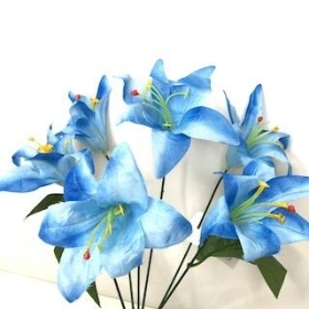 Blue Lily Bush 36cm