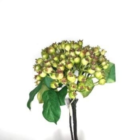 Green Hawthorn Berry Bundle 30cm