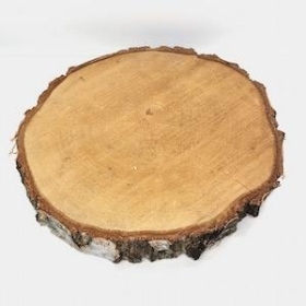 Birch Wood Slice 35cm