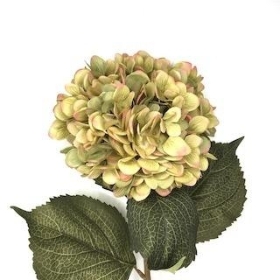 Olive Green Hydrangea 81cm