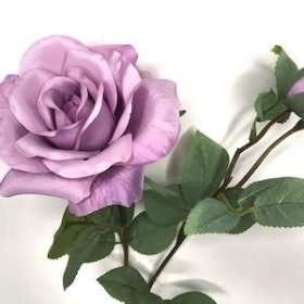 Lilac Tintagel Rose Spray 61cm