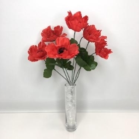 48 x Red Poppy Bush 35cm