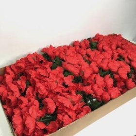 48 x Red Poppy Bush 35cm