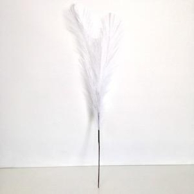 White Feather Grass 77cm