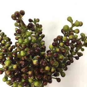 Green Berry Bundle 22cm