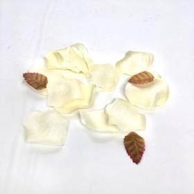 Cream Rose Petals x 150