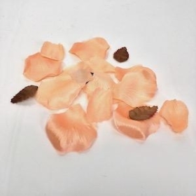 Peach Rose Petals x 150