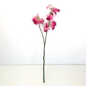 Cerise Sweetpea 46cm