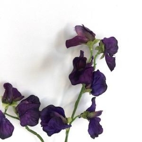 Purple Sweetpea 46cm