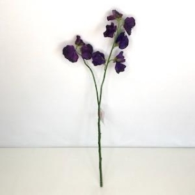 Purple Sweetpea 46cm