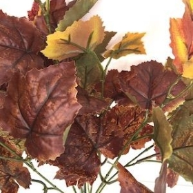 Burgundy Grape Ivy Bush 41cm