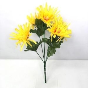 Yellow Spider Chrysanthemum Bush 33cm