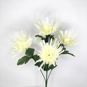 Ivory Spider Chrysanthemum Bush 33cm