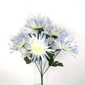 Blue Spider Chrysanthemum Bush 33cm