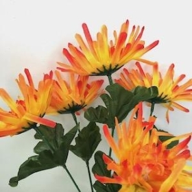 Orange Spider Chrysanthemum Bush 33cm