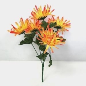 Orange Spider Chrysanthemum Bush 33cm