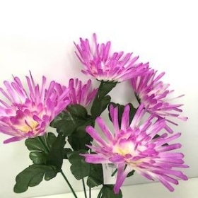 Lilac Spider Chrysanthemum Bush 33cm