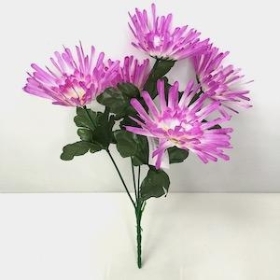 Lilac Spider Chrysanthemum Bush 33cm