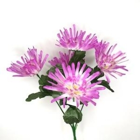 Lilac Spider Chrysanthemum Bush 33cm