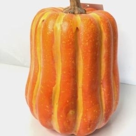 Orange Butternut Pumpkin 18cm