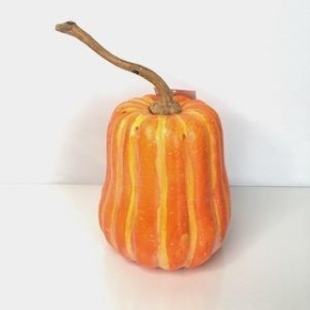 Orange Butternut Pumpkin 18cm