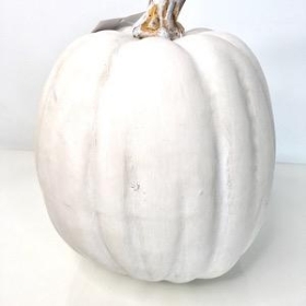 White Pumpkin 18cm