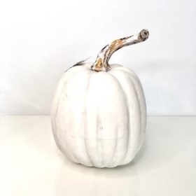 White Pumpkin 18cm