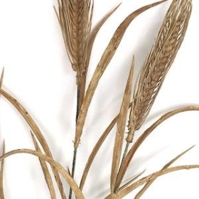 Brown Wheat Spray 75cm